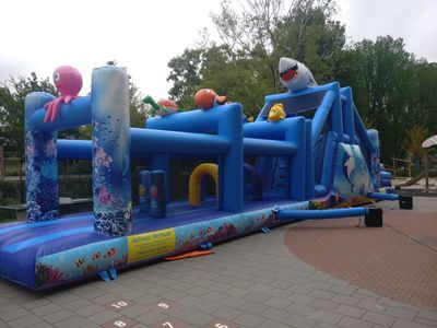 picture-400 (4)