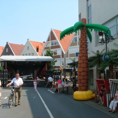 DSCF7566